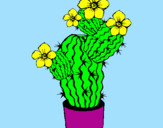 Disegno Fiori di cactus  pitturato su Aleksandra