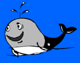 Disegno Balena allegra  pitturato su matteo