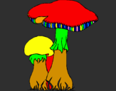Disegno Funghi pitturato su olipter