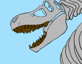 Disegno Scheletro di Tyrannosaurus rex pitturato su gabriele