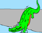 Disegno Alligatore che entra nell'acqua  pitturato su antonio