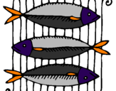 Disegno Pesce pitturato su VALERIA