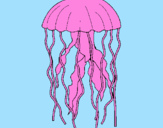 Disegno Medusa  pitturato su mattia