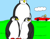 Disegno Famiglia pinguino  pitturato su Marta