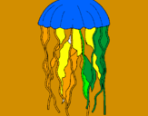 Disegno Medusa  pitturato su nico