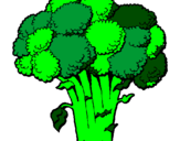 Disegno Broccoli  pitturato su elena