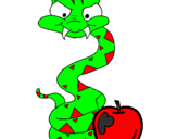 Disegno Serpente con la mela  pitturato su Checco