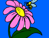 Disegno Margherita con ape  pitturato su laiabvsonia