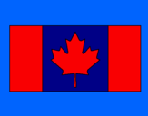 Disegno Canada pitturato su matteo