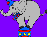 Disegno Elefante sulla palla  pitturato su c