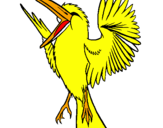Disegno Uccello ribelle  pitturato su FRANCESCO