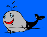 Disegno Balena allegra  pitturato su leonardo