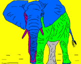 Disegno Elefante  pitturato su giovanni