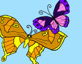 Disegno Farfalle pitturato su de brenda