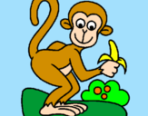 Disegno Scimmietta  pitturato su chiara