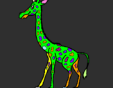 Disegno Giraffa  pitturato su ilaria