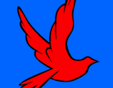 Disegno Colomba della pace in volo pitturato su lorenzo