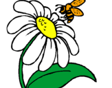 Disegno Margherita con ape  pitturato su ludo