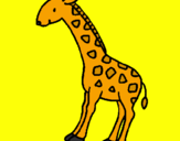 Disegno Giraffa  pitturato su davide lombi
