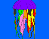 Disegno Medusa  pitturato su mamnttia 