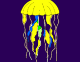 Disegno Medusa  pitturato su pilli