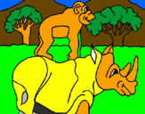 Disegno Rinoceronte e scimmietta  pitturato su CERVO