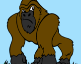 Disegno Gorilla pitturato su Francesco