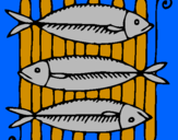 Disegno Pesce pitturato su VERONICA SCANFERLA 