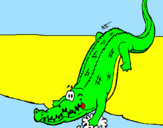 Disegno Alligatore che entra nell'acqua  pitturato su carlo