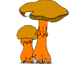 Disegno Funghi pitturato su federico