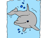 Disegno Delfino pitturato su delfino