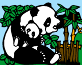Disegno Mamma panda  pitturato su Greta