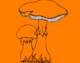 Disegno Funghi pitturato su flavio