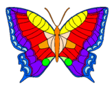 Disegno Farfalla  pitturato su lisa