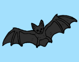 Disegno Pipistrello in volo  pitturato su federica