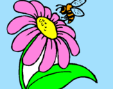 Disegno Margherita con ape  pitturato su katya 