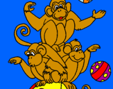Disegno Scimmie giocoliere pitturato su cesare