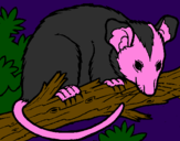 Disegno Scoiattolo Possum marsupiale pitturato su un topo che dorme