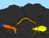Disegno Diversi insetti  pitturato su leonardo