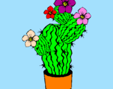 Disegno Fiori di cactus  pitturato su titty
