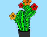 Disegno Fiori di cactus  pitturato su fiby