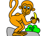 Disegno Scimmietta  pitturato su Carla