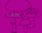 Disegno Funghi pitturato su ludo