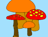 Disegno Funghi pitturato su f