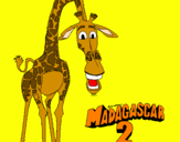 Disegno Madagascar 2 Melman pitturato su marty