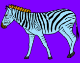 Disegno Zebra  pitturato su giulio