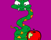 Disegno Serpente con la mela  pitturato su ALICE