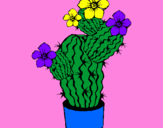 Disegno Fiori di cactus  pitturato su nicole