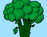 Disegno Broccoli  pitturato su delia