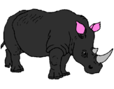 Disegno Rinoceronte  pitturato su andrea